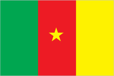 Cameroon News